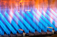 Ram gas fired boilers